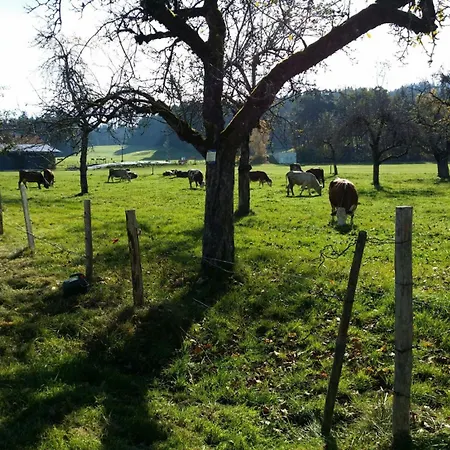 Uebernachtungsmoeglichkeit In Maierhoefen Grunenbach